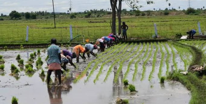 PM Kisan Samman Nidhi