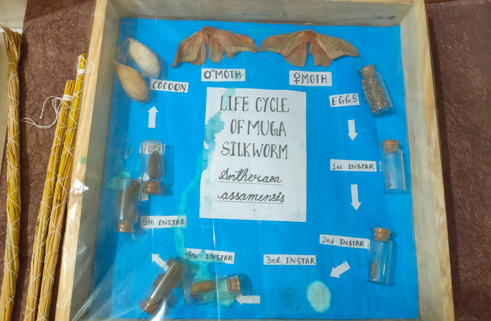 jewelry from silk cocoons