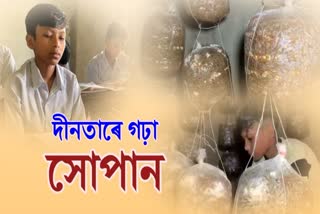 Krishna Hazarika, a seventh grade student from Sivasagar, has set an example of self-reliance