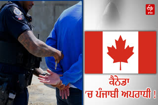 Punjabi involved in Canadian crime