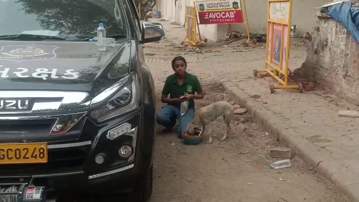 Ahmedabad Plane Crash Update