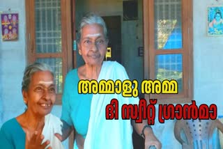 AMMALU AMMA SWEET GRANDMA  KOZHIKODE NEWS  LIFE OF AMMALU AMMU  LATEST MALAYALAM NEWS