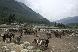 Horses are pictured as porters prepare them ahead of the annual Hindu pilgrimage to the holy cave shrine of Amarnath at Pahalgam, about 90 km southeast from Srinagar, on June 26, 2025.