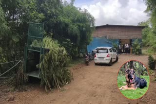 ઘોડવણી ગામમાં પાલતુ શ્વાને દીપડાને ભગાડ્યો
