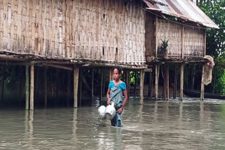 Assam flood