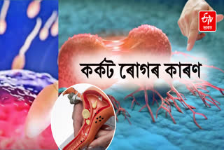 Why is the rate of cancer higher in the northeastern region?