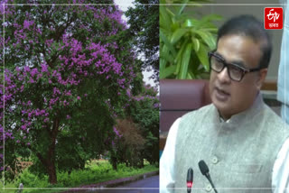 Ezer trees to be planted in Guwahati CM told in Legislative Assembly Budget Session
