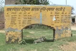 Bhiwani Rohanat village