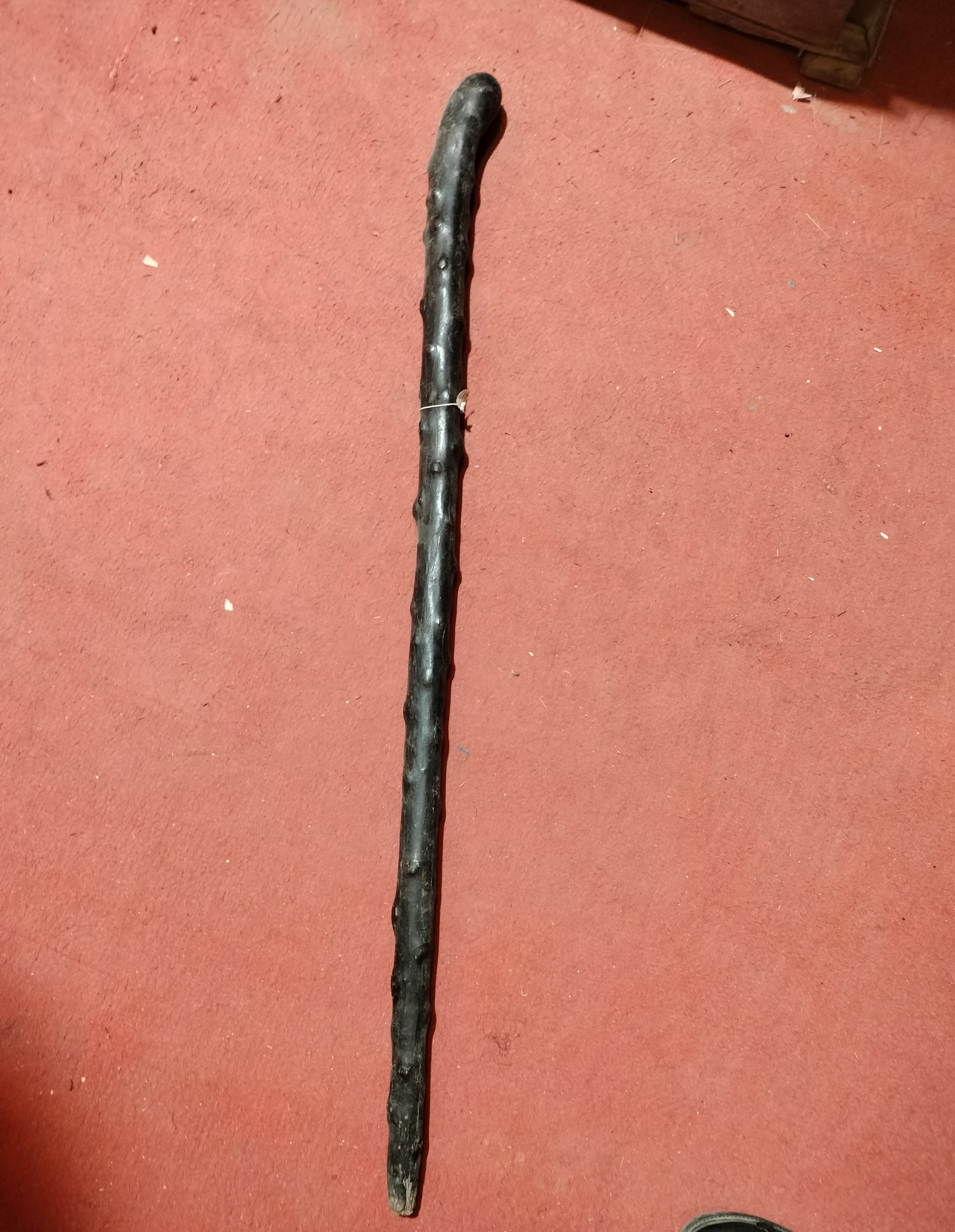 चंद्रशेखर आजाद की लाठी