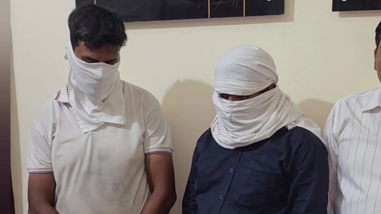Turtle smuggling racket busted in Karnal