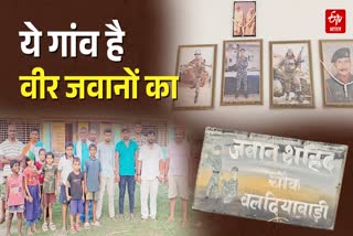 KATIHAR MIRZAPUR VILLAGE