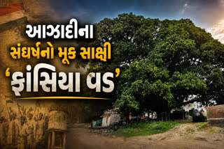 200થી વધુ ક્રાંતિકારીઓની શહીદીનું પ્રતિક છે આ 'ફાંસિયો વડ'