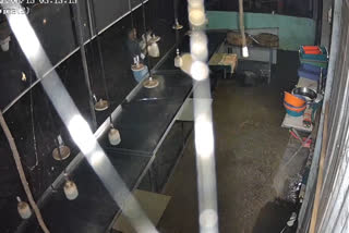 THEFT IN WAYANAD  BULB THEFT IN FISH MARKET  THEFT  BULB THEFT FROM WAYANAD FISH MARKET