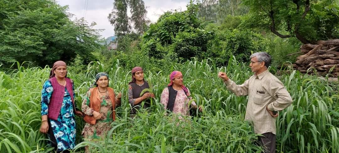 1 लाख से अधिक किसानों को मिले सितारा प्रमाण पत्र