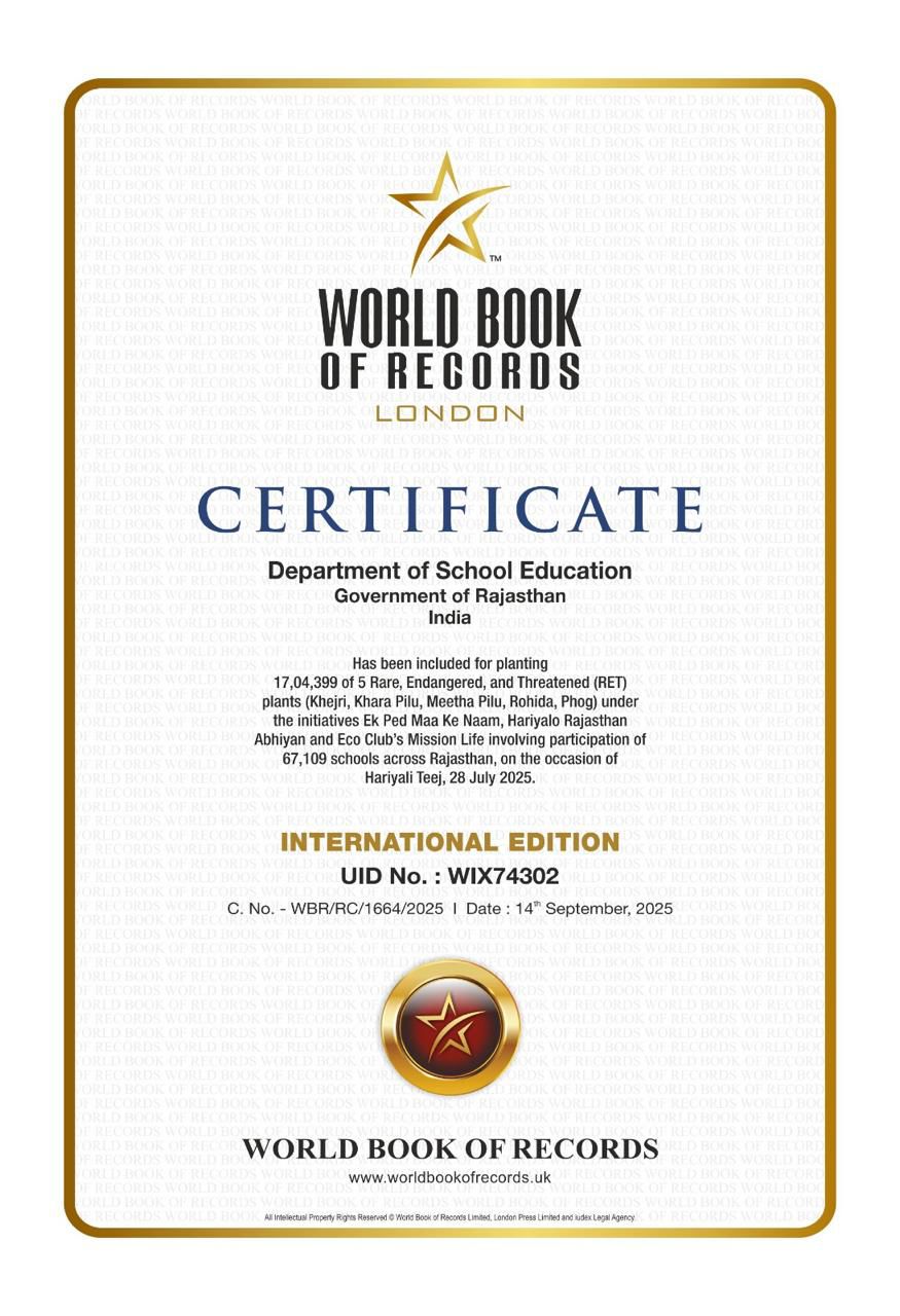 World Record Certificate