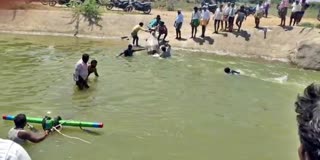 Farmer Falls into Guntakal Branch Canal Along with Bullock Cart