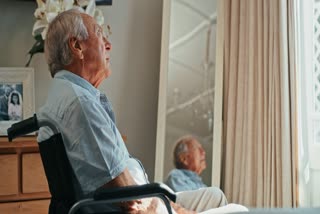memories blur with age  Aging brain memory  Cerebral Cortex Study  Hippocampus memory