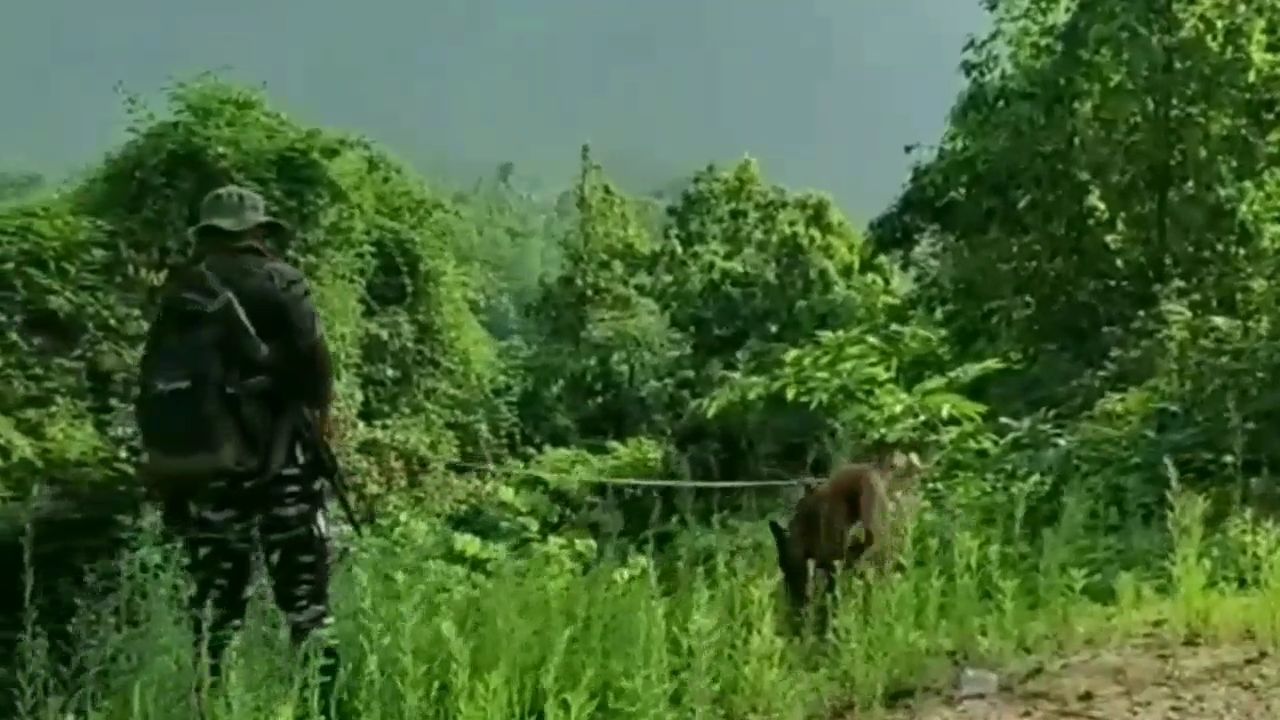 Saranda Battle: Security Forces Surround 65 Naxalites; Jharkhand-Odisha Border Blocked To Seal Escape Route