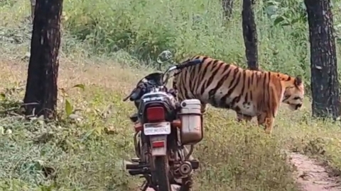 SIDHI FOREST GUARD LEFT BIKE