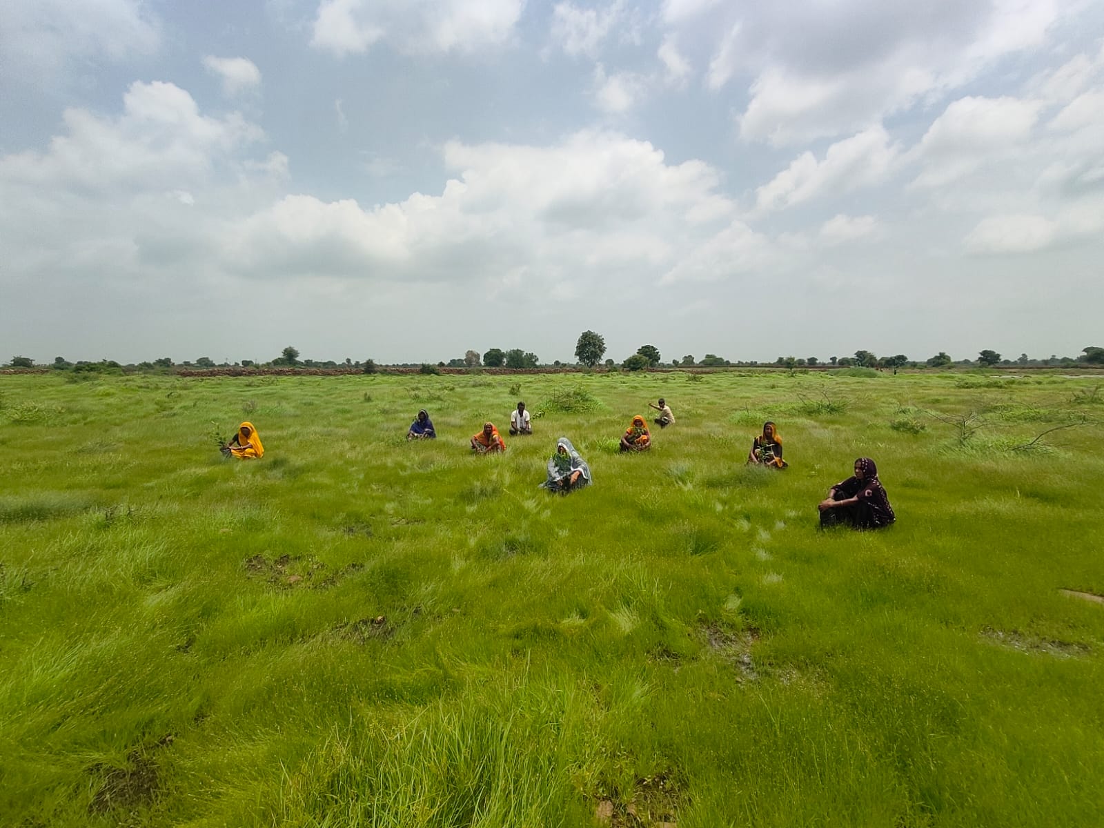 International Day of Rural Women