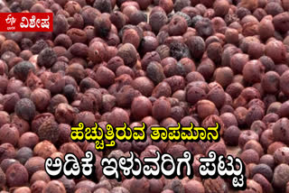 SHARP DROP IN ARECANUT PRICES: FARMERS IN DAVANAGERE DISTRICT VOICING THEIR PROBLEMS