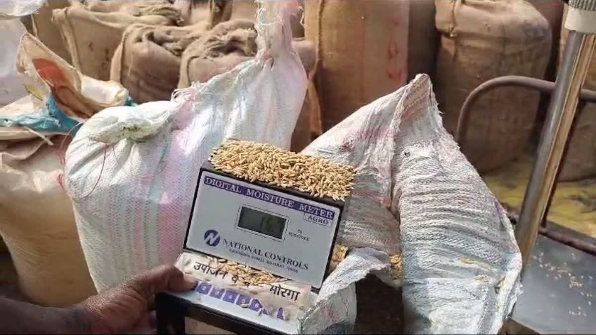 Paddy purchase at MSP