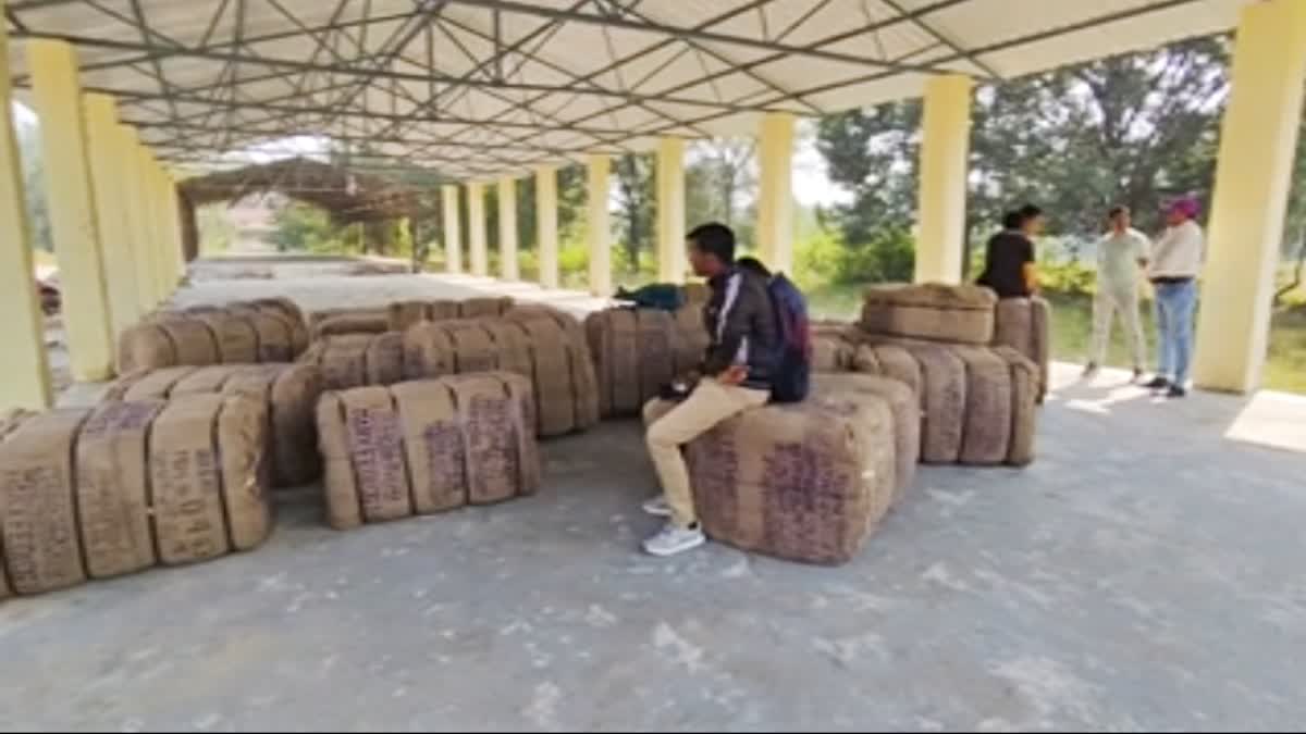 paddy procurement GPM