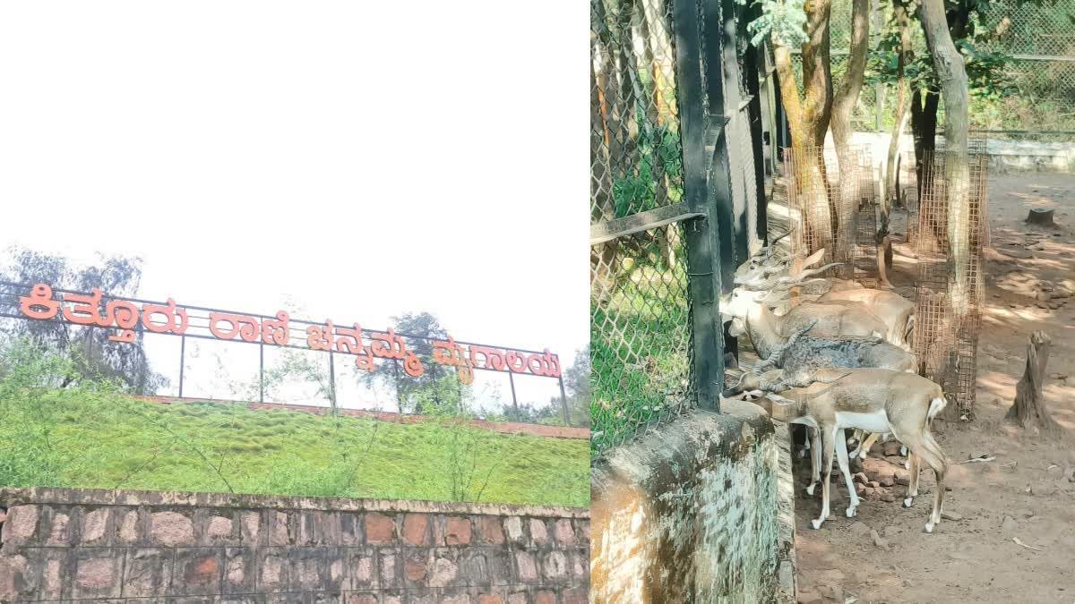 The Kittur Rani Chennamma Zoo.