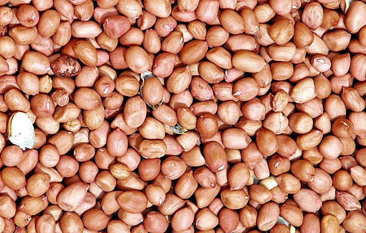 கோப்புப்படம்