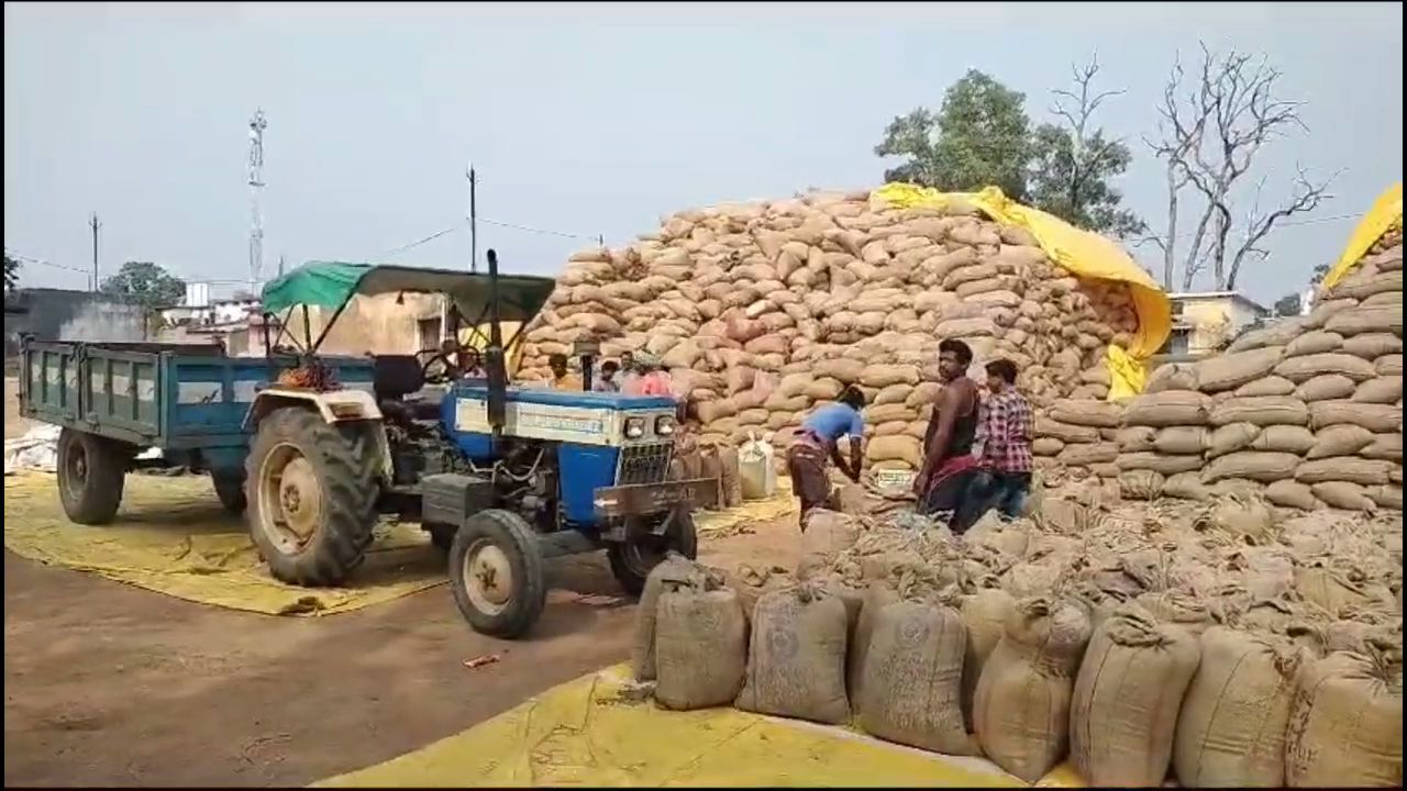 Paddy purchase at MSP