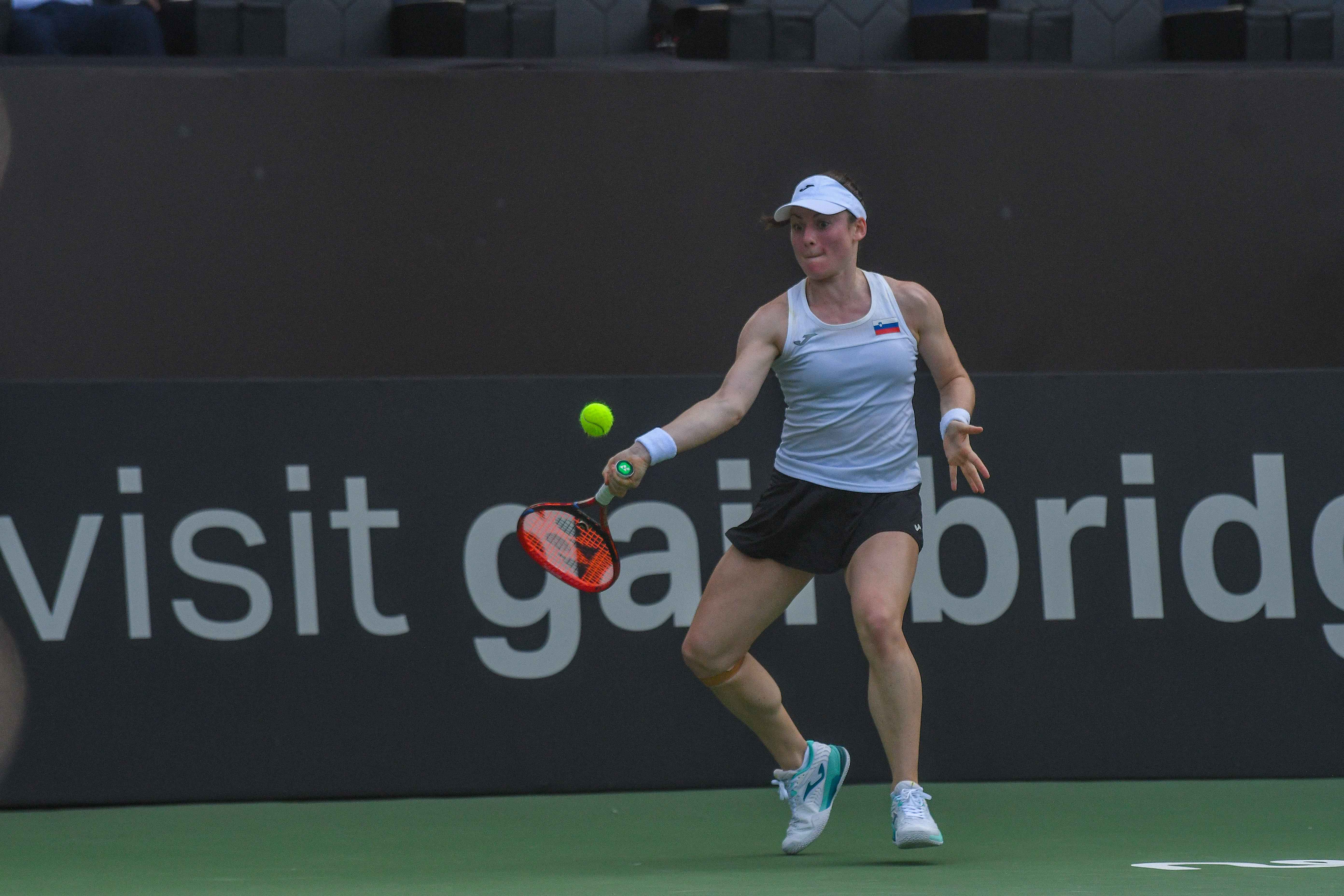 ಬಿಲ್ಲಿ ಜೀನ್ ಕಿಂಗ್ ಕಪ್ ಪ್ಲೇ-ಆಫ್‌ ಪಂದ್ಯ