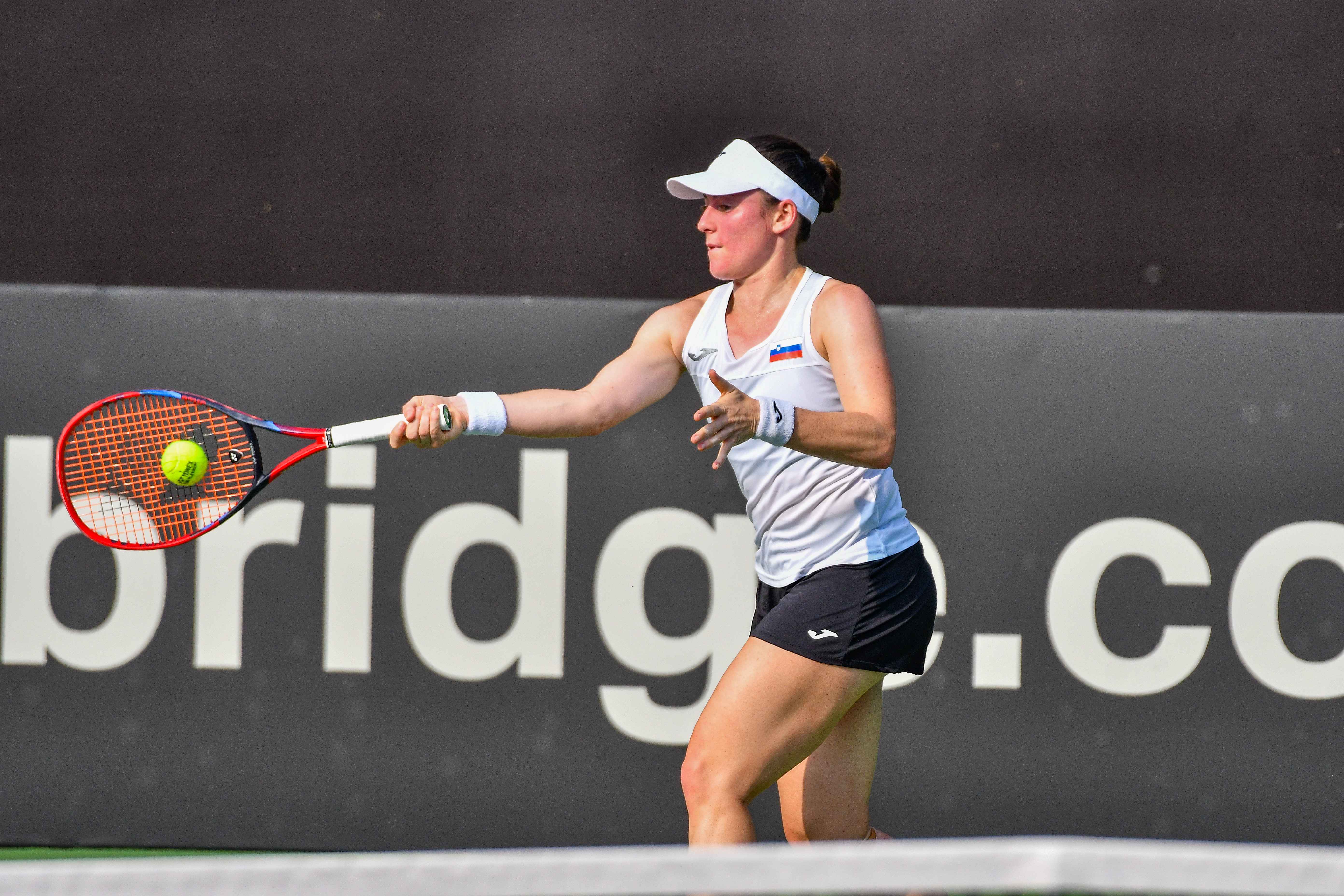 ಬಿಲ್ಲಿ ಜೀನ್ ಕಿಂಗ್ ಕಪ್ ಪ್ಲೇ-ಆಫ್‌ ಪಂದ್ಯ