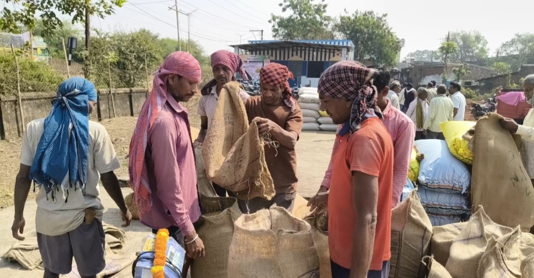 Paddy procurement affected in Chhattisgarh
