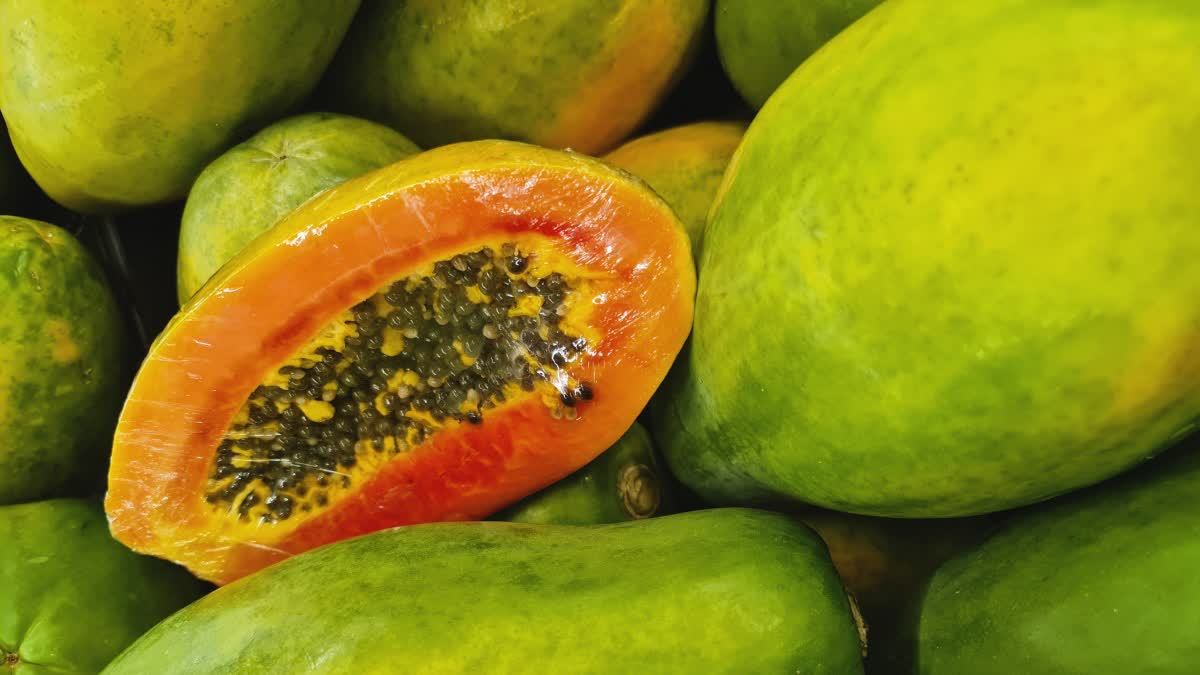 பப்பாளி பழத்துடன் சாப்பிடக்கூடாத 5 உணவுகள் - கண்டிப்பா தெரிஞ்சுக்கோங்க!