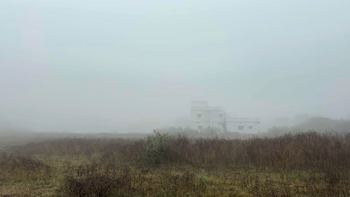 ODISHA WEATHER UPDATE