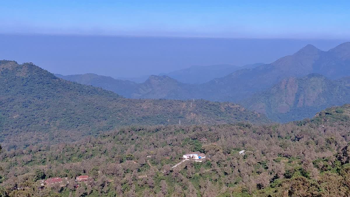 மாஞ்சோலையில் மலைகளின் நடுவே அமைந்திருக்கும் தொழிலாளர்களின் குடியிருப்புகள்