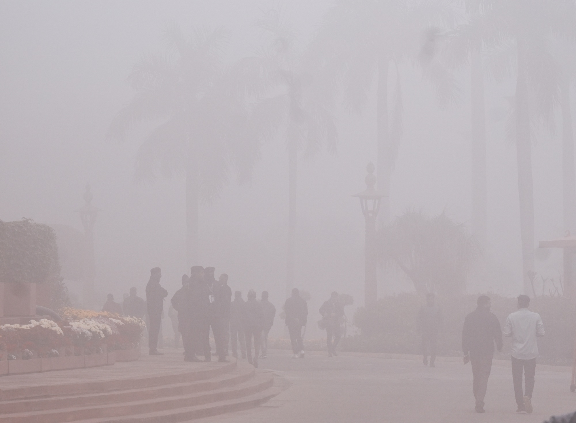 Over 100 Flights Cancelled As Dense Smog Engulfs Delhi-NCR Leading To Near-Zero Visibility