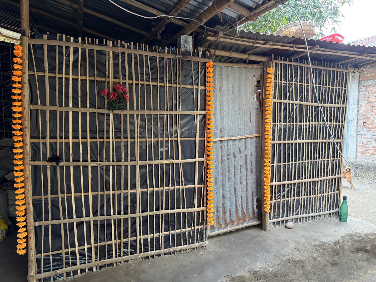 Naxalbari of North Bengal, once naxal bastion now BJP hub