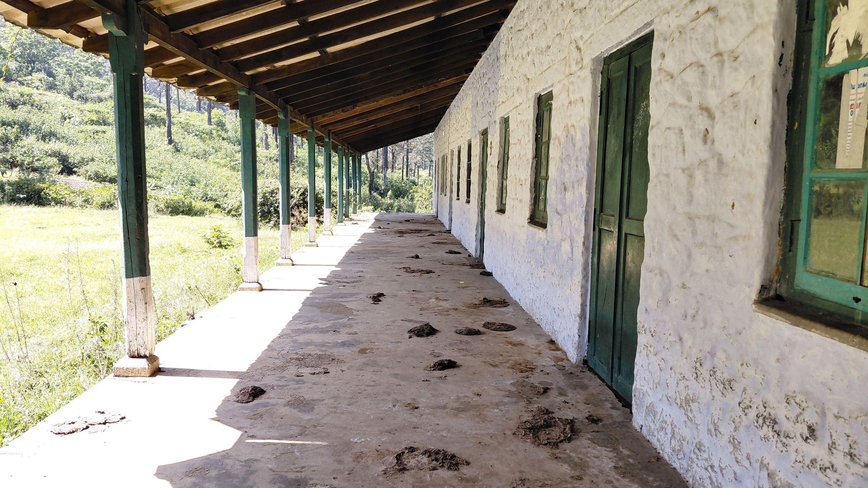 மாஞ்சோலை தோட்ட பணியாளர்களுக்கு ஒதுக்கப்பட்ட வீடுகள் மூடப்பட்டுள்ளன