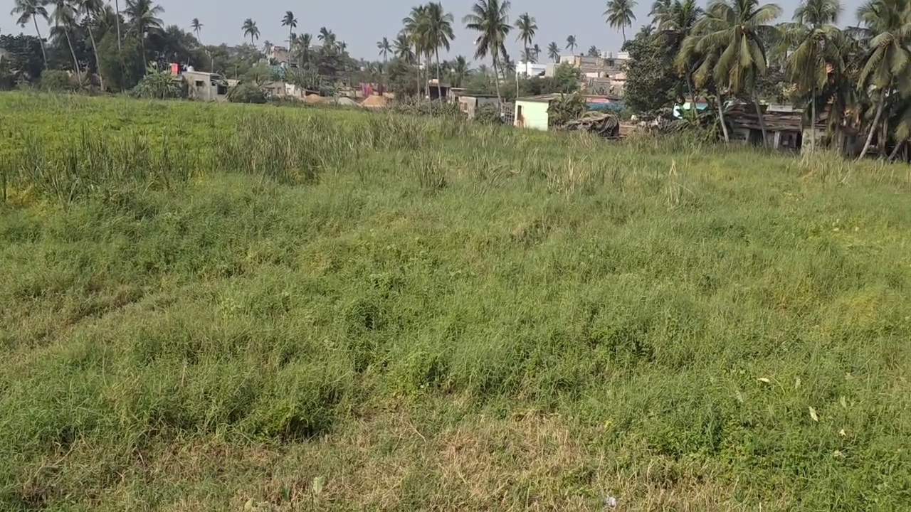 Puri Atharnala Heritage Project Musanai Beautification Neglected