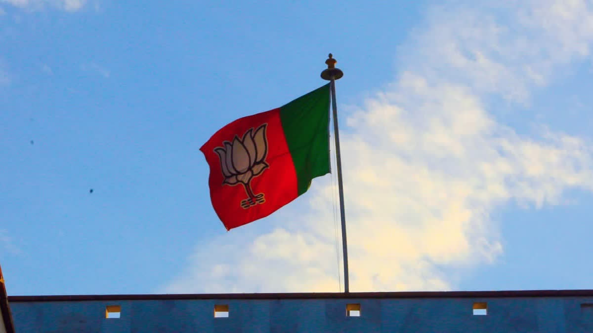 BJP national president election