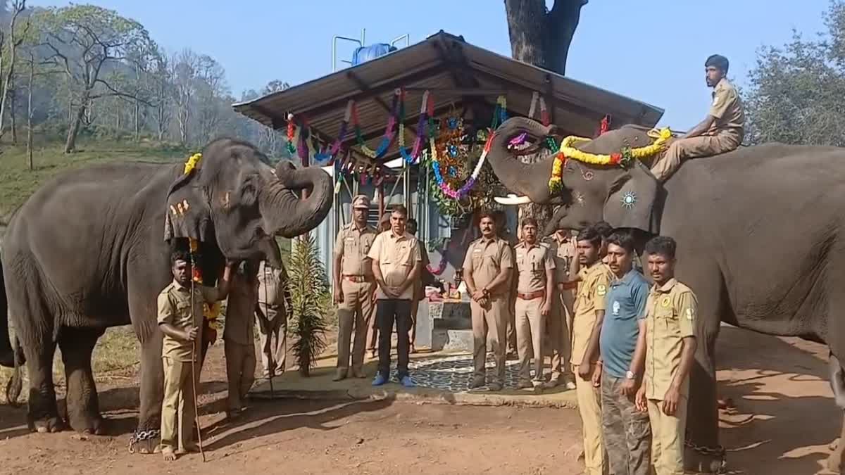 வெகு சிறப்பாக நடைபெற்ற யானை பொங்கல் விழா - உற்சாகமாக பங்கேற்ற சுற்றுலா பயணிகள்