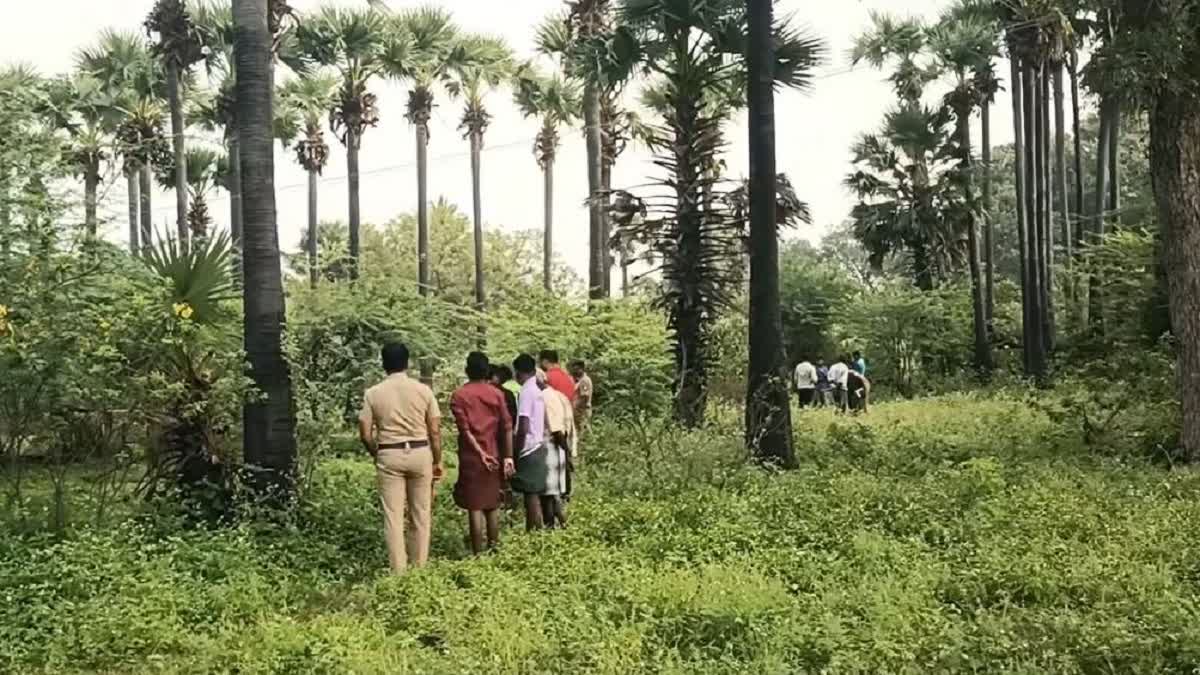 பட்டப்பகலில் பஞ்சர் கடை உரிமையாளர் வெட்டிக் கொலை; நெல்லையில் பரபரப்பு