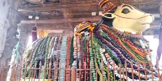 பெரிய கோயில் மகாநந்திக்கு 2 டன் காய்கறிகள் அலங்காரம்