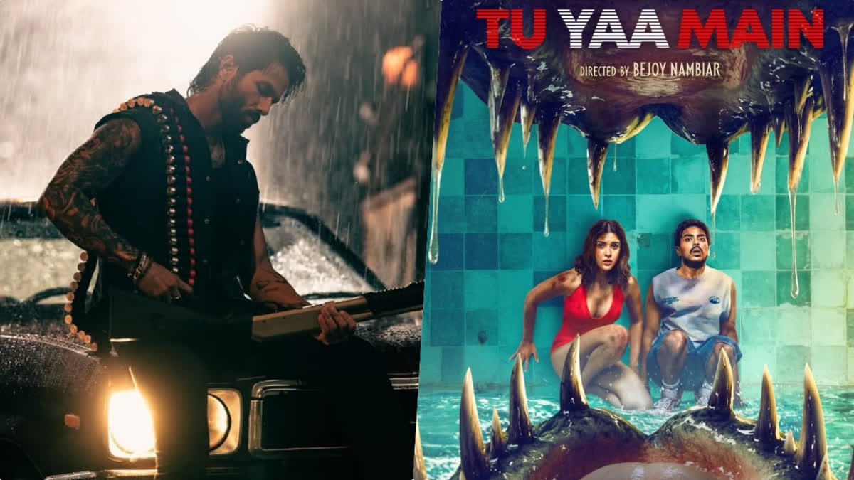O Romeo vs Tu Yaa Main Box Office Collection Day 3: Shahid Kapoor Starrer Ahead By Huge Margin O Romeo vs Tu Yaa Main Box Office Day 3