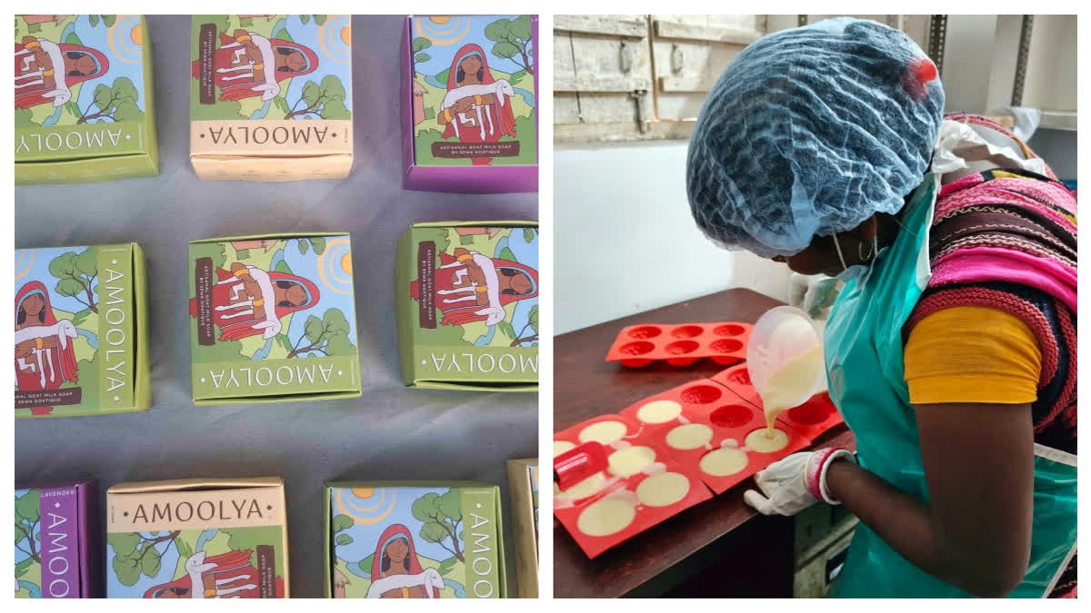 Rural Women In Bihar Produce Chemical-Free Goat Milk Soap, Earn Rs 15,000 A Month Rural Women In Bihar Produce Chemical-Free Goat Milk Soap, Earn Rs 15,000 A Month