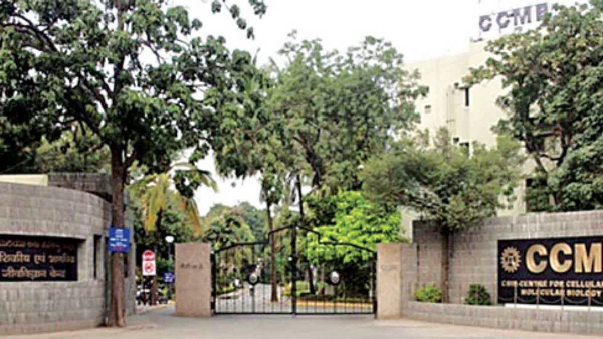 A file photo of the Centre for Cellular and Molecular Biology.