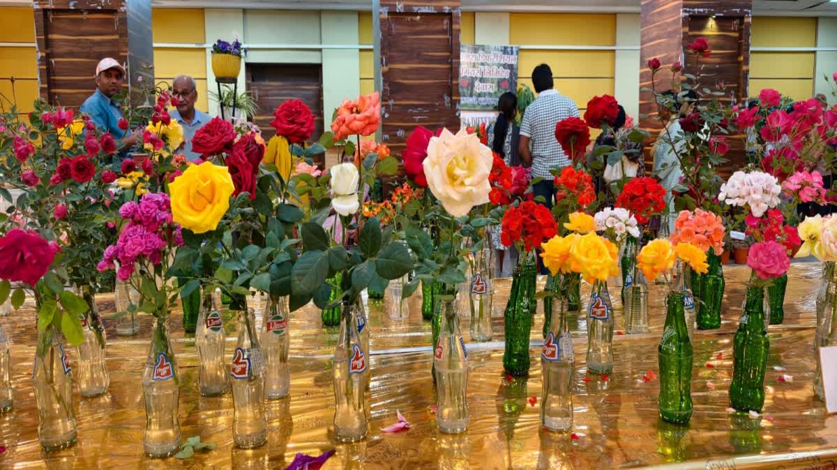 dewas Rose Exhibition