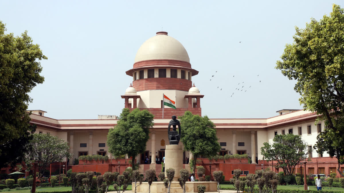 The top court refused interim intervention, granting Salem liberty for urgent listing before the High Court.