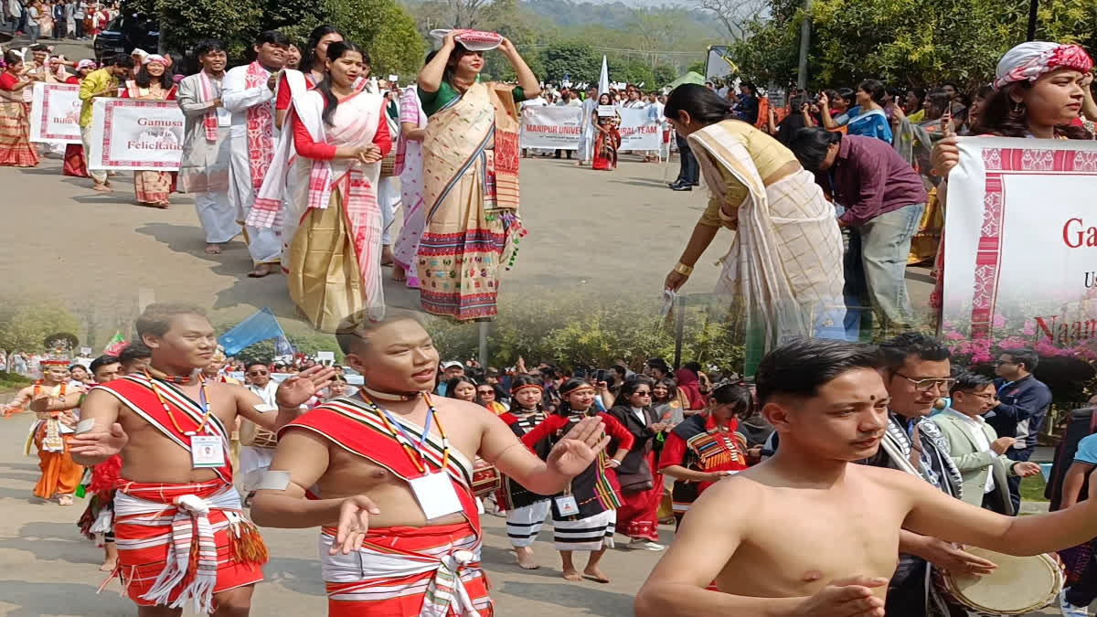 Assam Don Bosco University